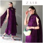 Zaib - DEEP PLUM
